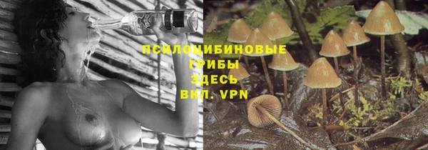 МДПВ Арсеньев