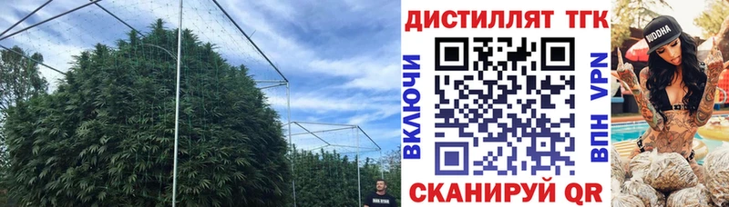 Дистиллят ТГК вейп дарнет шоп Венёв