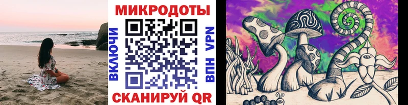 наркотики  Венёв  блэк спрут ссылки  Псилоцибиновые грибы ЛСД 